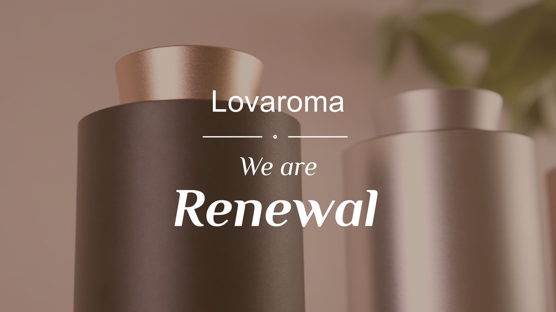 公式ストア リニューアルのお知らせ