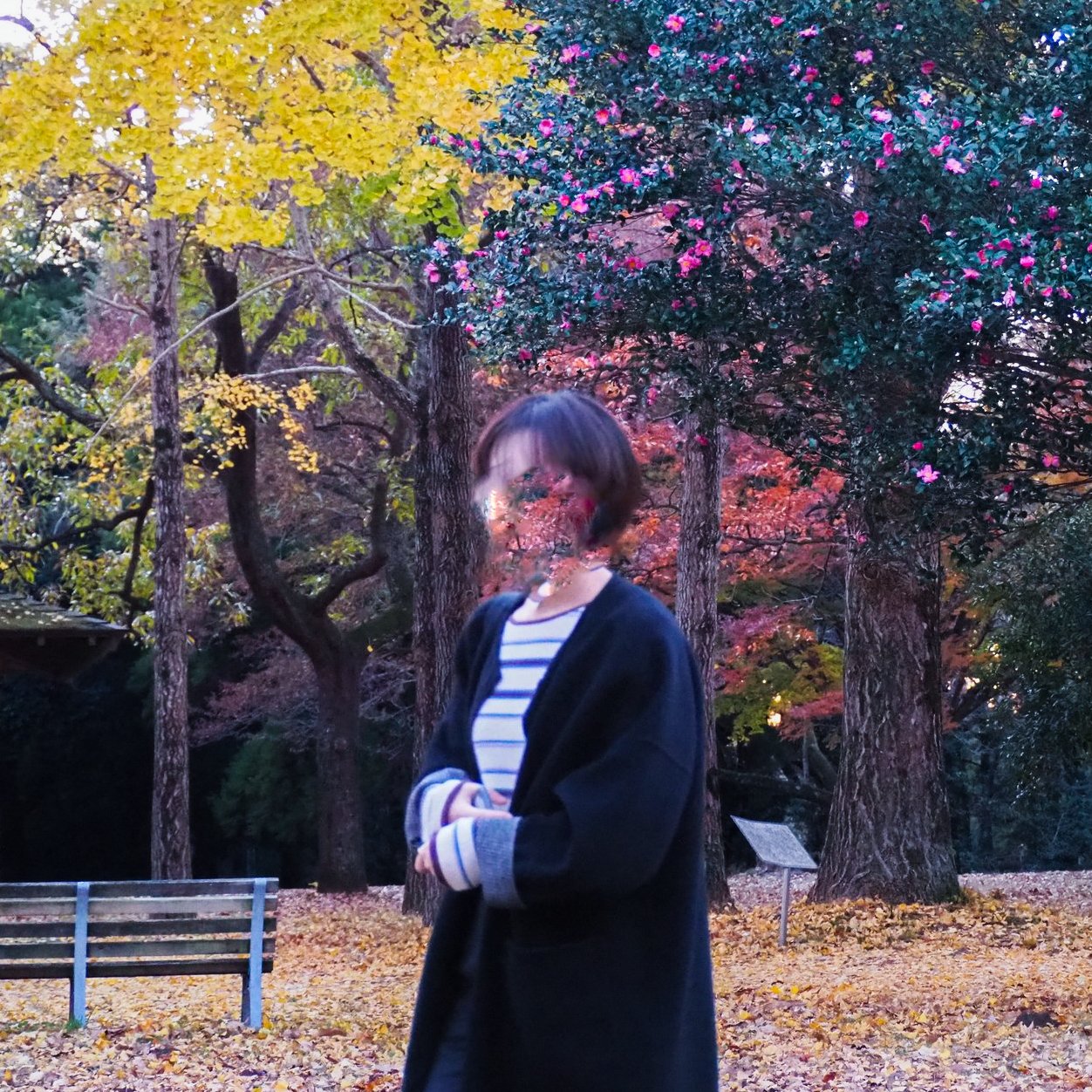 MICHI ミチ - 抽象画家