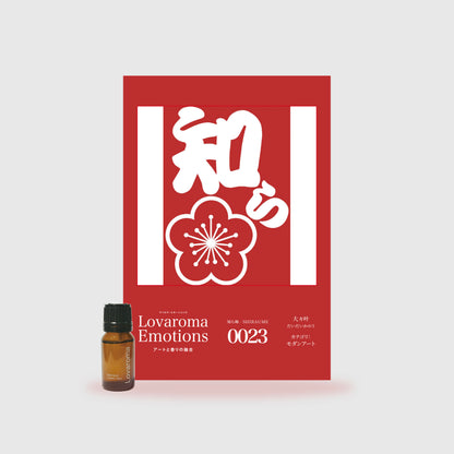 モダンアート - 大々叶　知ら梅 ＳＨＩＲＡＵＭＥ