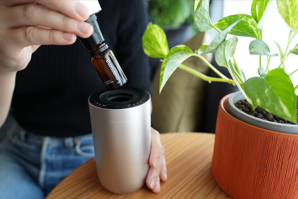 Core Diffuser – Lovaroma