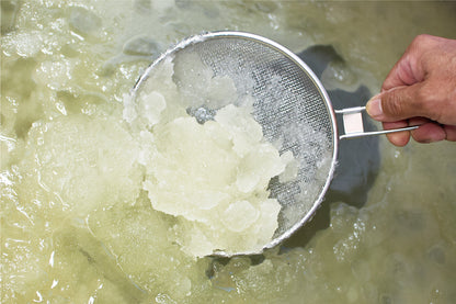 カンフルオイル（クスノキ油）　エッセンシャルオイル 10ml