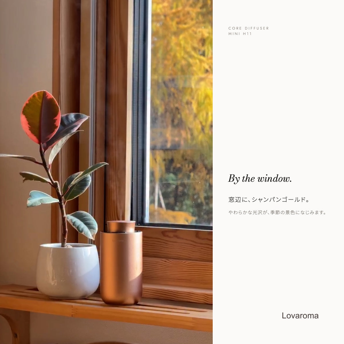 Lovaroma mini_j10_sg_window