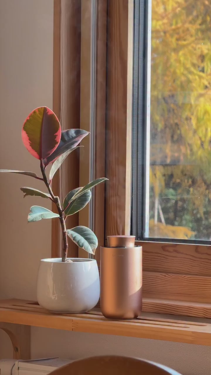 動画を読み込む